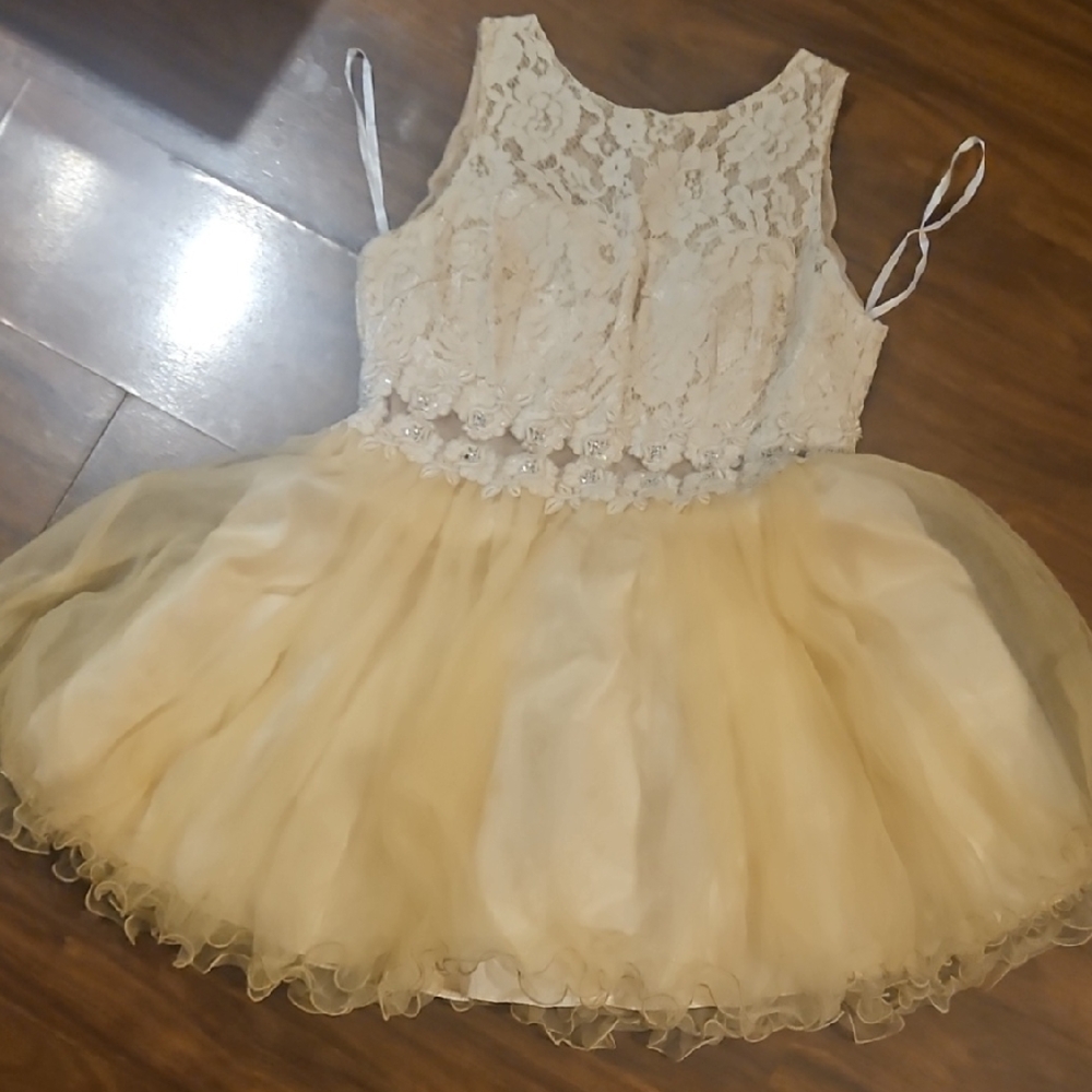 Elegant Cream and Gold Lace Dress